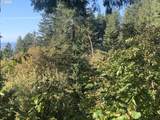  Duley Creek - Photo 9