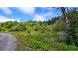  Laurel Butte - Photo 1