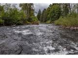 42681 Island Inn Dr - Photo 44