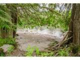 42681 Island Inn Dr - Photo 45