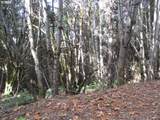 0 Crane (1) - Photo 4