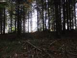0 Crane (1) - Photo 6
