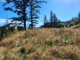  Boot Hill - Photo 17