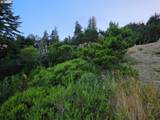  Boot Hill - Photo 20