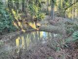 21007 Kruger Rd - Photo 13