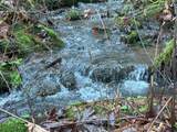 21007 Kruger Rd - Photo 14