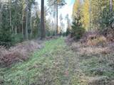 21007 Kruger Rd - Photo 17