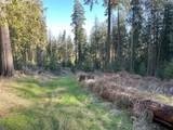 21007 Kruger Rd - Photo 18