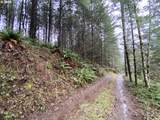 0 Buncombe Hollow Rd - Photo 2