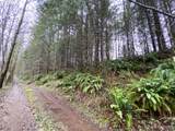 0 Buncombe Hollow Rd - Photo 3