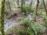 0 Buncombe Hollow Rd - Photo 4
