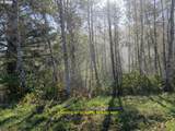 3301 Beach Rd - Photo 18