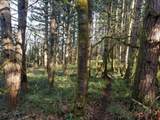 Foothill Dr - Photo 10