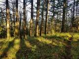  Foothill Dr - Photo 11