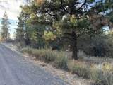  Treeland Rd - Photo 3