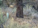  Treeland Rd - Photo 4