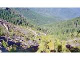  Williams Creek Rd - Photo 11