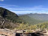  Williams Creek Rd - Photo 14