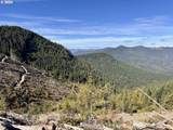  Williams Creek Rd - Photo 15