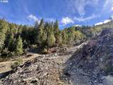  Williams Creek Rd - Photo 17