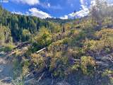  Williams Creek Rd - Photo 18