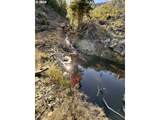  Williams Creek Rd - Photo 2