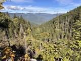  Williams Creek Rd - Photo 21