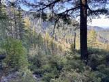  Williams Creek Rd - Photo 3