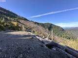  Williams Creek Rd - Photo 8