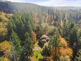 31205 152ND Ave - Photo 46