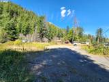 49733 Mckenzie Hwy - Photo 13