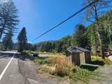 49733 Mckenzie Hwy - Photo 8
