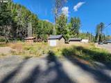 49733 Mckenzie Hwy - Photo 9