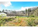 47828 Mckenzie Hwy - Photo 15