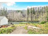 47828 Mckenzie Hwy - Photo 8