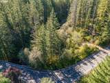 30815 Sunset Falls Rd - Photo 8