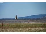 87722 Pinion Ln - Photo 42