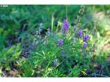  Byrkett Rd - Photo 10