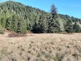 39933 Layng Creek Rd - Photo 11