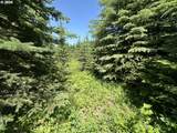 0 Vacant Land - Photo 10
