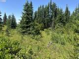 0 Vacant Land - Photo 11