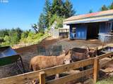 94104 Bellview Ln - Photo 23