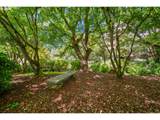 6605 Burnside St - Photo 33