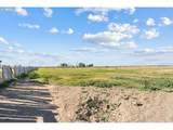 33968 Loop Rd - Photo 45