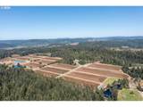 54980 Morrison Rd - Photo 37