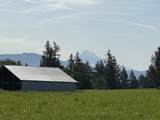  296th Ave - Photo 6