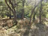 57654 Bingham Rd - Photo 15