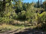 57654 Bingham Rd - Photo 19