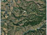 57654 Bingham Rd - Photo 23