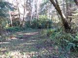 88271 Mccormick Gardens Rd - Photo 24